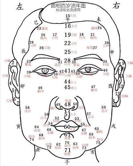 面相歲數圖